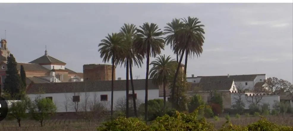 Apartamento Turistico Damajuana Espartinas Apartment